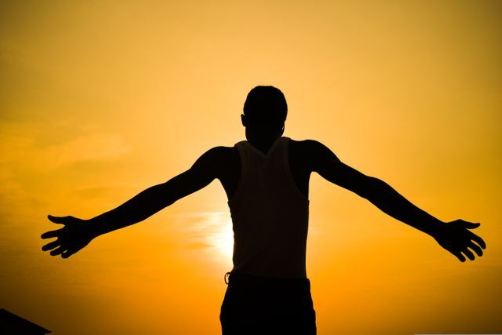 Pexels paul uchechukwu 246994638 19925767
